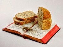 Brood des levens