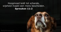 Hoogmoed tegenover bescheidenheid
